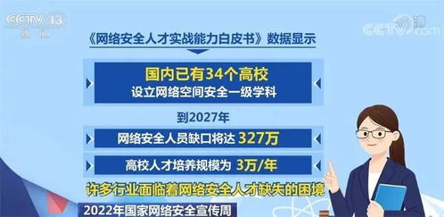 從零基礎到精通 網絡空間安全學習全指南